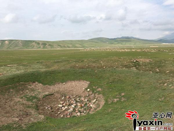 新疆考古重大发现!巴音布鲁克草原发现3000年