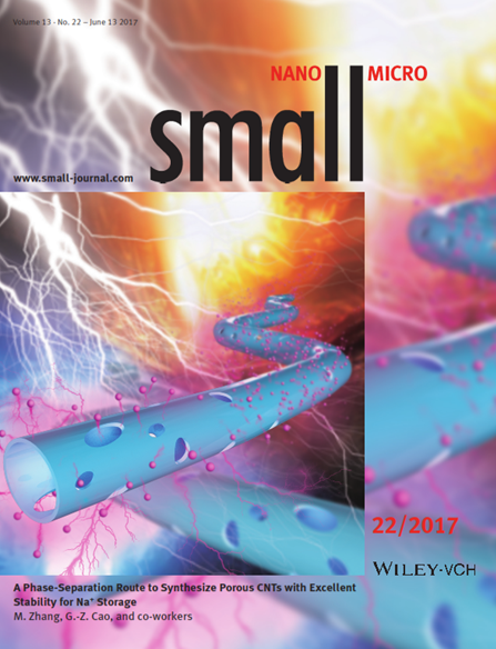 域国际期刊small上（图1）。博士生陈智为第一作者，我校为第一作者单位。 图1 论文作为《smal