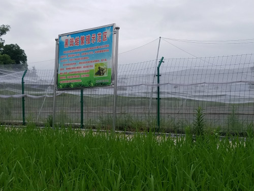 大理办假学位证