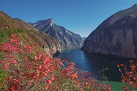 博开幕 44条优惠线路带你玩遍全世界|旅行社|特