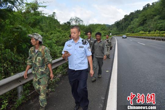 云南野象横穿高速与货车相撞野象不知道去向