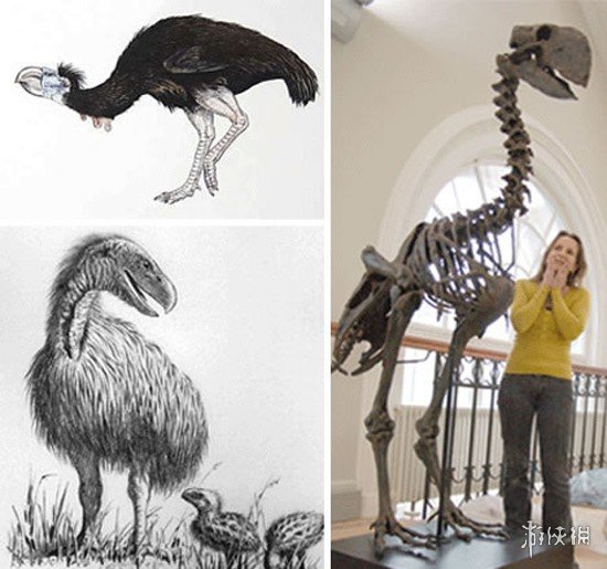 14种怪异的远古生物 鸵鸟站在它面前只是个侏