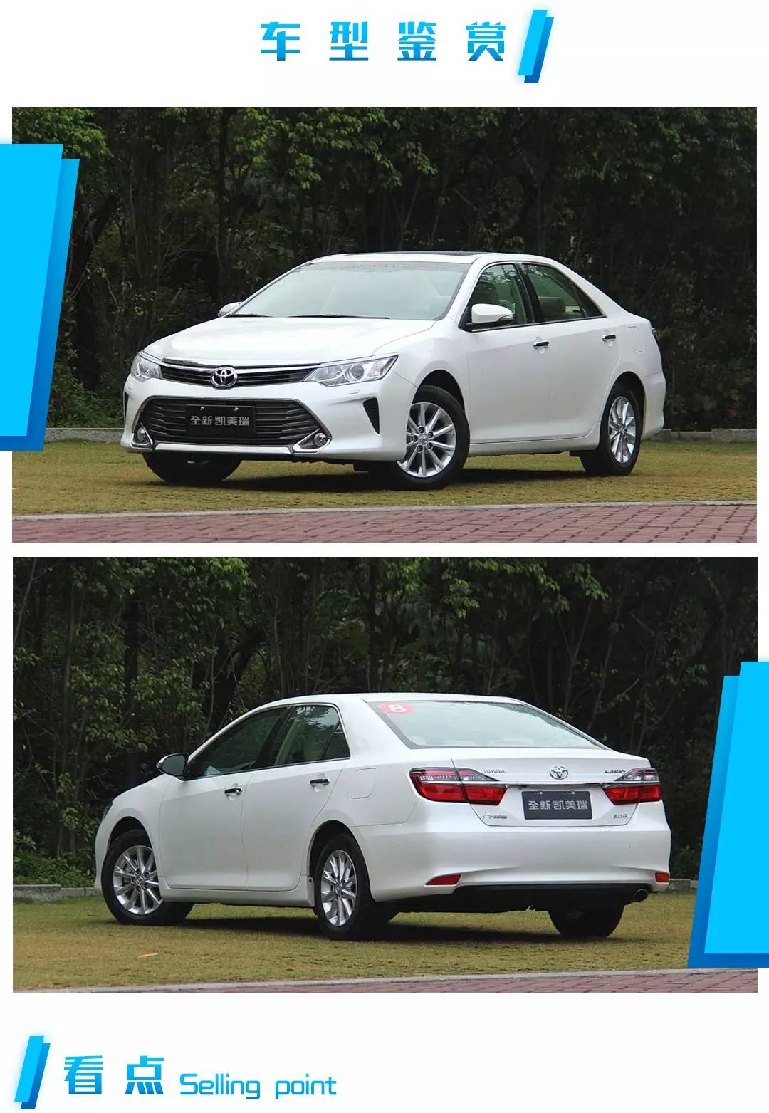 车大又省油也就这几款了，每公里还不到3毛钱...