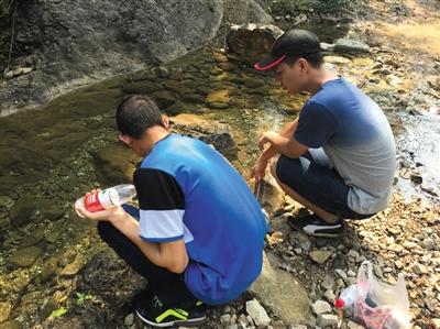 萤火虫养殖:调查:淘宝商家买卖活体萤火虫多地萤火虫正在消亡 华中农业大学学生在距离湖北省宜昌市50公里外的布旗山进行野外采集。