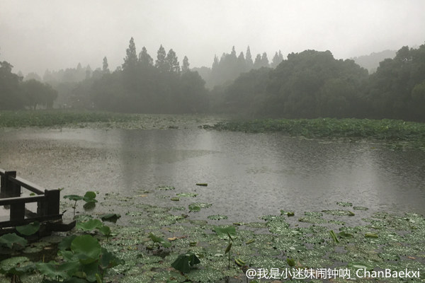 南方强降雨转至西南 重庆贵州等有大暴雨|大暴