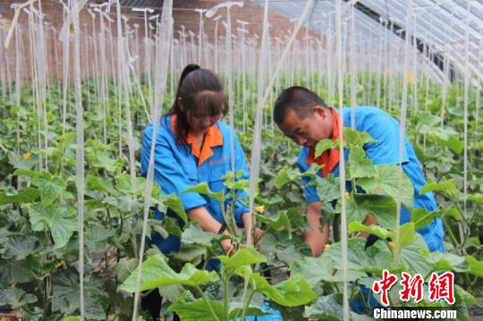 太原铁路局特色扶贫助山西革命老区脱贫攻坚(
