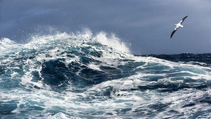 一起黄岩岛海难案,上海海事法院如何宣示我国