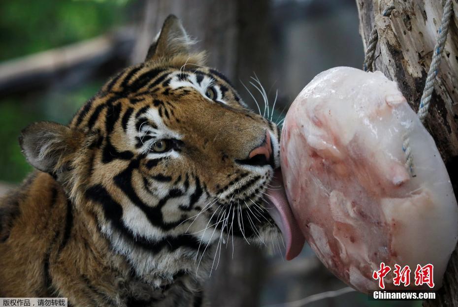 天下足球贝克汉姆