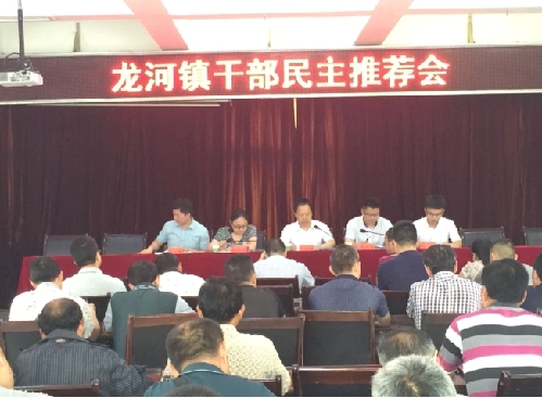 丰都县委组织部到龙河镇开展县管领导干部民主