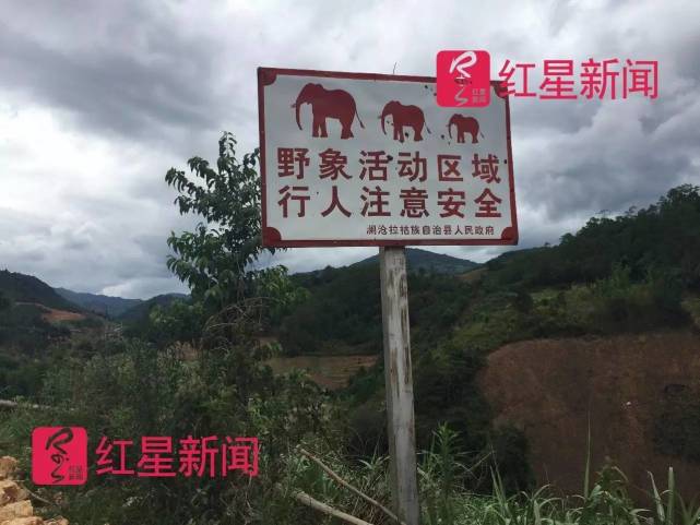 黑山村的野象活动区域警示牌，提醒注意安全