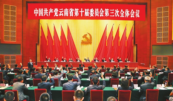 中共云南省委十届三次全会在昆举行|习近平|全
