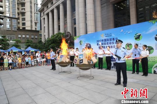 活动现场进行毒品销毁启动仪式 池兆恩 摄