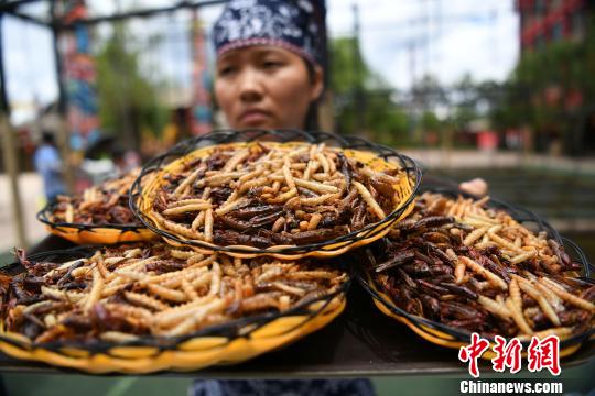 图为工作人员端着油炸昆虫。　陈超　摄