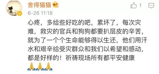 中国搜救犬累趴下,外国双标狗站起来!|搜救犬