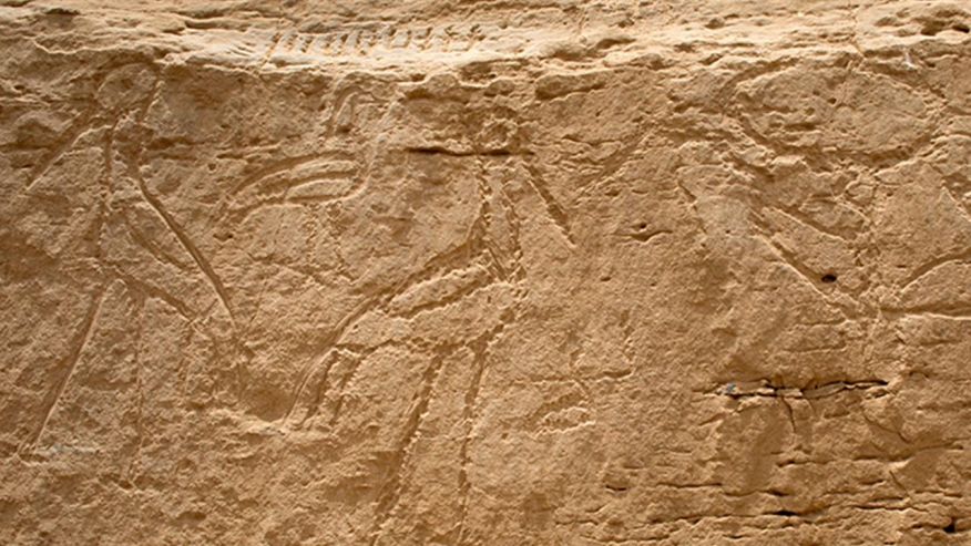古埃及现公路广告牌 或为最早巨型象形文字|