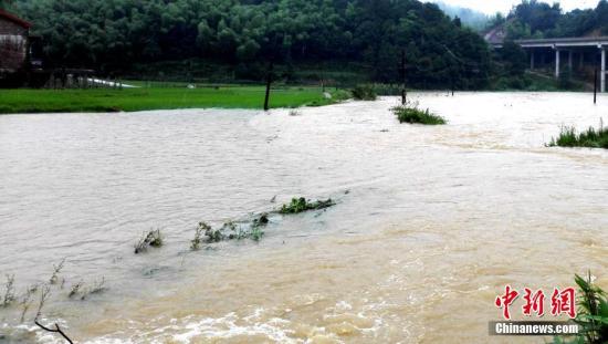 入汛以来，湖南多地先后降下暴雨。6月22日开始，湖南桃江县遭遇今年最强降雨，加之上游水库泄洪，资江桃江段水位连日来持续上涨，造成多地被洪水浸没。图为洪水淹没道路农田。 王鹏 摄