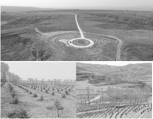 天津绿茵景观生态建设股份有限公司首次公开发