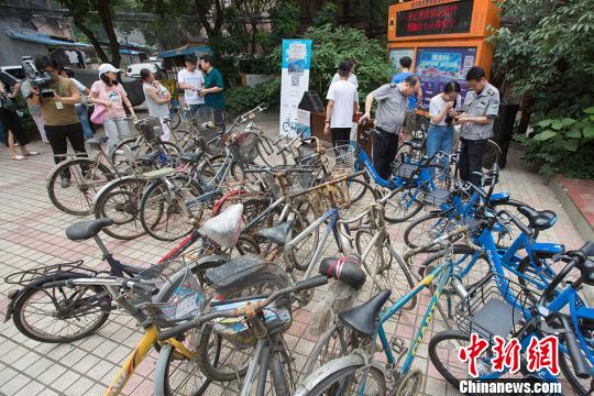 市民将废旧自行车摆放在一起,换取单车免费骑行券。 泱波 摄
