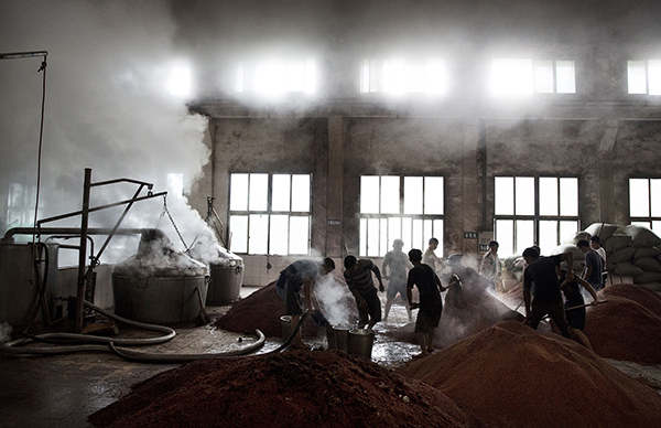 2016年9月24日，贵州遵义仁怀市茅台镇，酿酒厂里工人们扬撒高粱准备进行第一次发酵。视觉中国 资料图