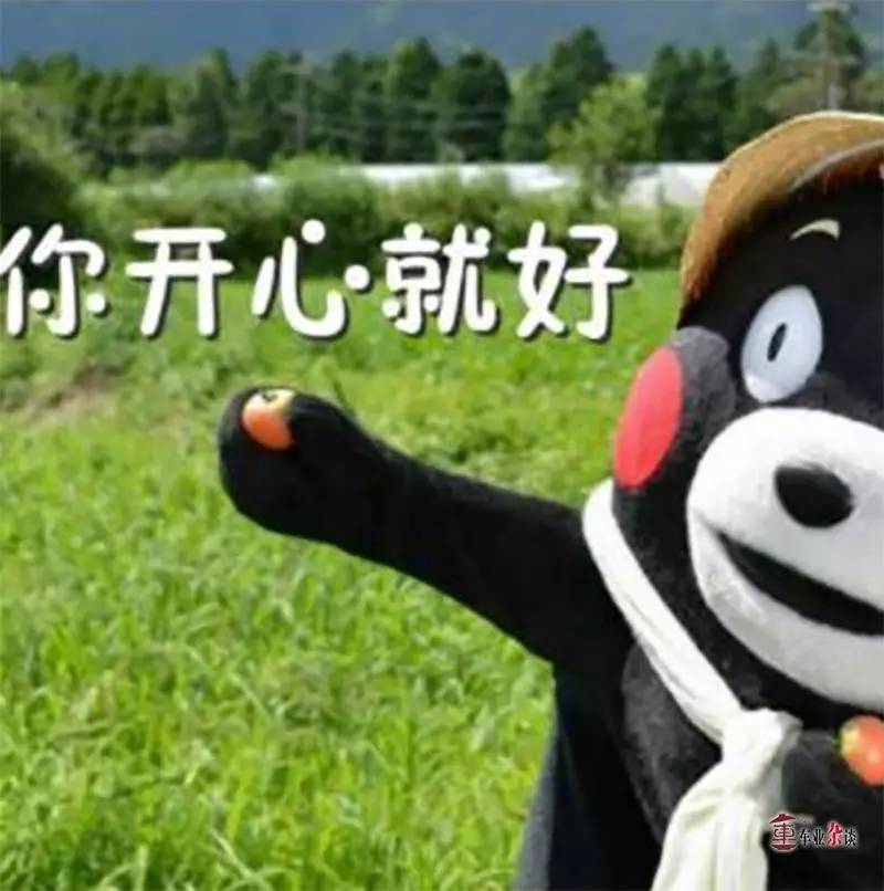 买车要理由吗?买这些车只因为我乐意|车业杂谈