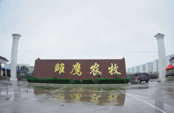 雏鹰农牧集团三获国际大奖 凸显供应链竞争力