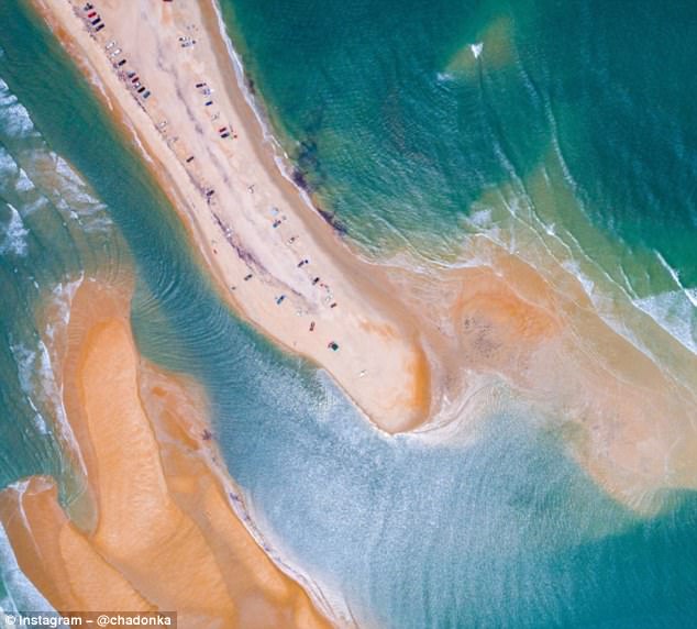 美海岸惊现 贝壳岛 引关注 专家提醒小心鲨鱼|陆