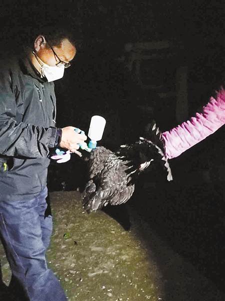 李奎黑夜中进村进行家禽防疫。