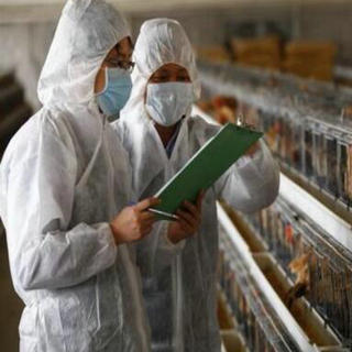广东供港食品农产品情况合格率达99.99%