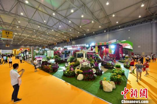 图为市民在乡村旅游展区拍照。 钟欣 摄 第五届成都农博会开幕 1100余家国内外展商参展(图2)
