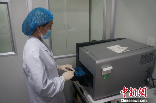 遗传室工作人员正在操作芯片。 芊烨 摄