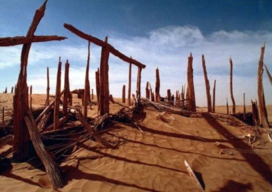 尼雅《苍颉篇》汉简 新疆汉晋时期推行的 小学