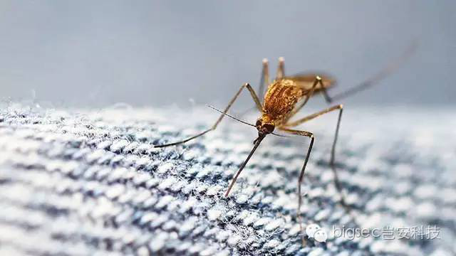 航空公司与爬虫的战争:特价票的真相与内幕