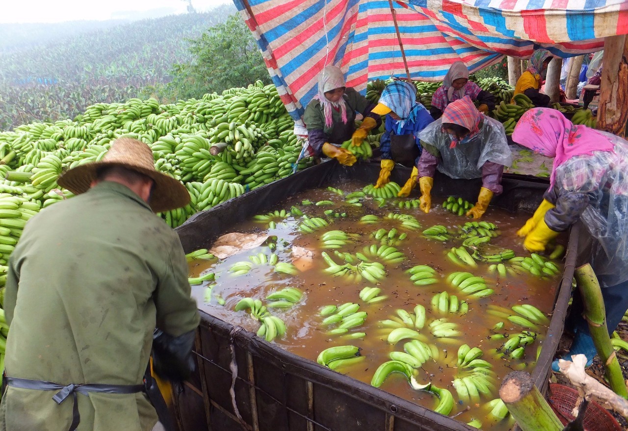 mg彩色三角游戏_mg彩色三角游戏-皇冠娱乐