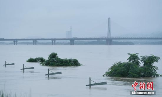 长沙湘江路沿江风光带上的大树与路灯被淹。 资料图