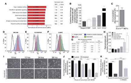 这场无声的密战,与染色体有关|Cell|染色体|细胞