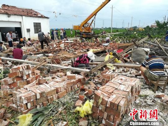 7月2日，江苏盐城东台部门镇遭受大风袭击。图为风灾事后情形。　谷华　摄