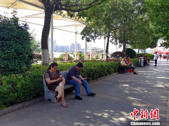 沿江树下，一些市民在纳凉休息。　卢文伟　摄