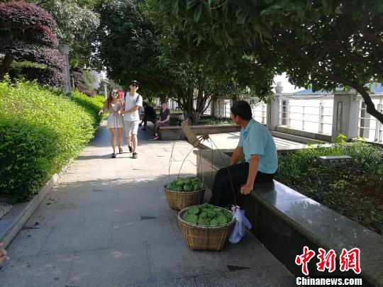 沿江风景带恢复清静，市民出行。　卢文伟　摄