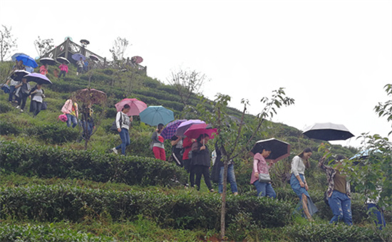 三明市旅行社组团周边游异军突起