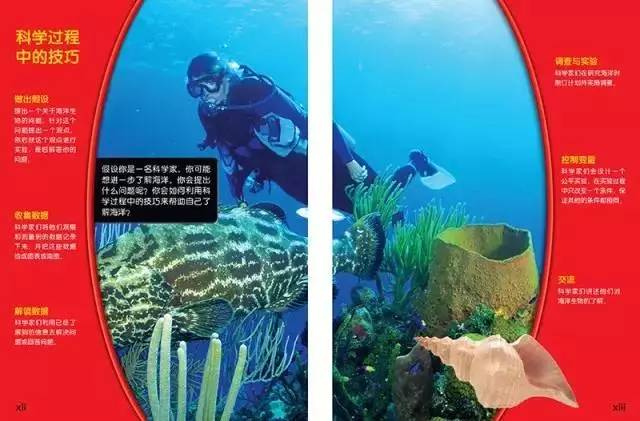 不得不服--美国小学教材是这样培养儿童元能力