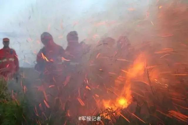 蒙古国过境大火现场。图片泉源：@军报记者