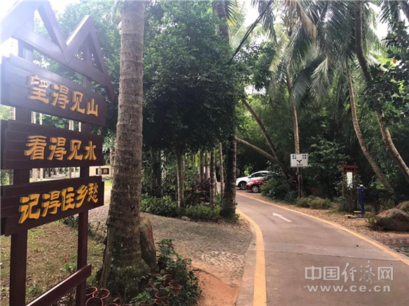 海南琼海市嘉积镇:生态红利鼓起了农民腰包|海