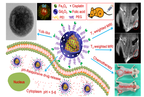 家制备出具有酸敏靶向药物传输及双模式造影双