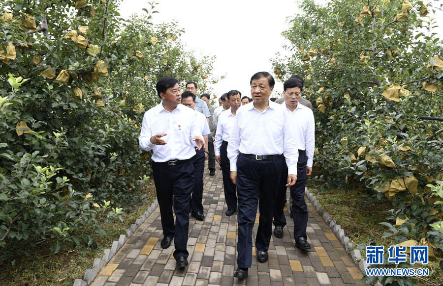 刘云山在河南调研时强调 切实担起抓党建促脱