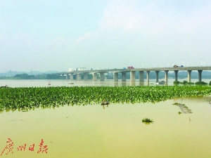 佛山洪水黄色预警信号降为蓝色 目前转移逾千