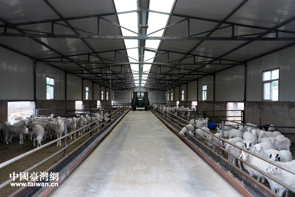 先富带后富 共奔富裕路--甘肃省广河县寺后子村