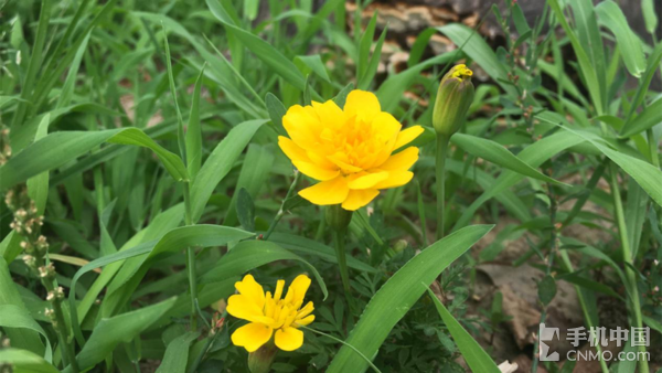 华为畅享7首发评测:打破次元 娱乐至上|华为|电