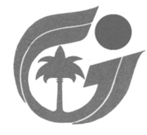 棕榈生态城镇发展股份有限公司2015年度非公