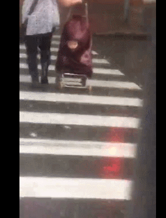 最新一期内涵爆笑动图 有的时候,虐狗根本不分年龄