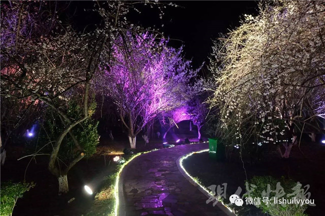 想夜游南京溧水无想山,这份行车指南收好!|山水